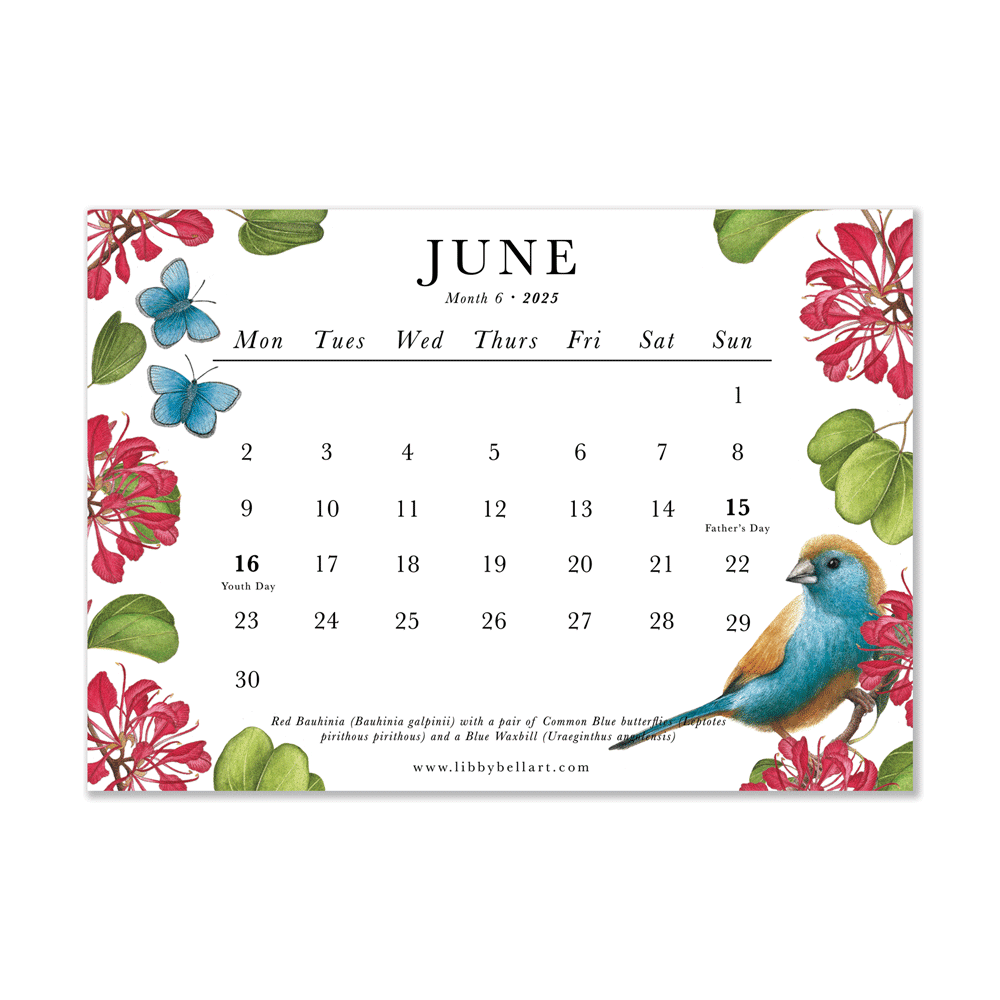 2025 Mini Calendar Indigenous Birds Butterflies And Flowering Trees Of South Africa Libby Bell Art