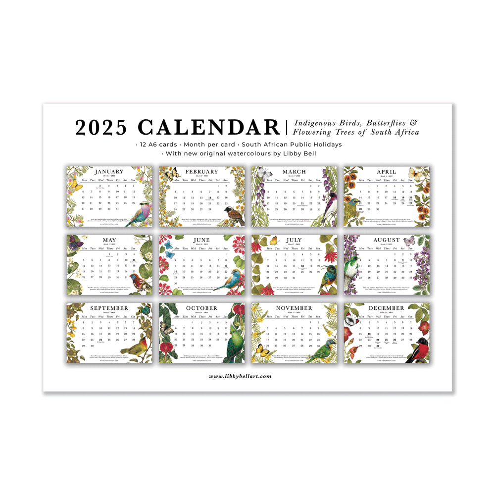 2025 Mini Calendar Indigenous Birds Butterflies And Flowering Trees Of South Africa Libby Bell Art