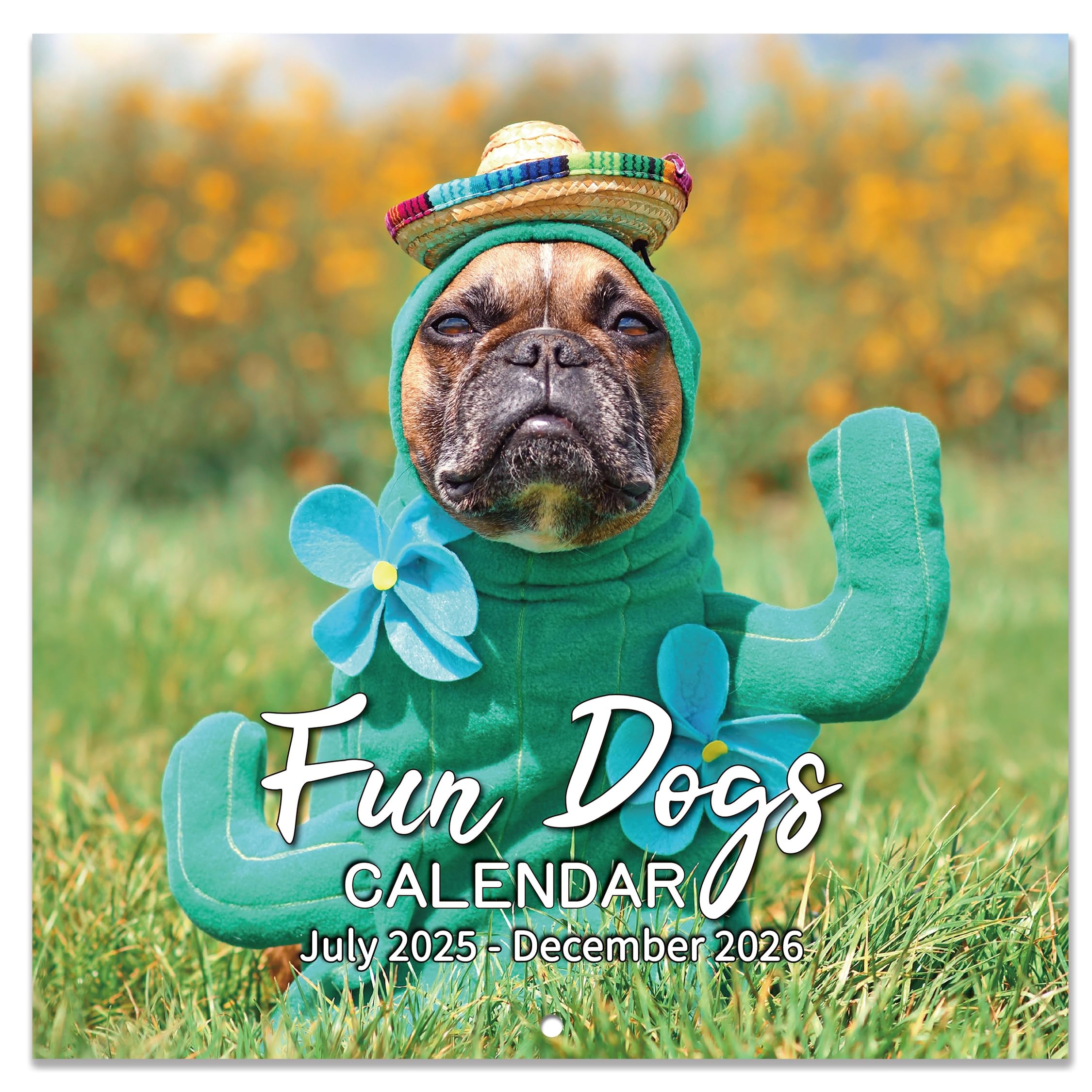 July 2025 Fun Calendar