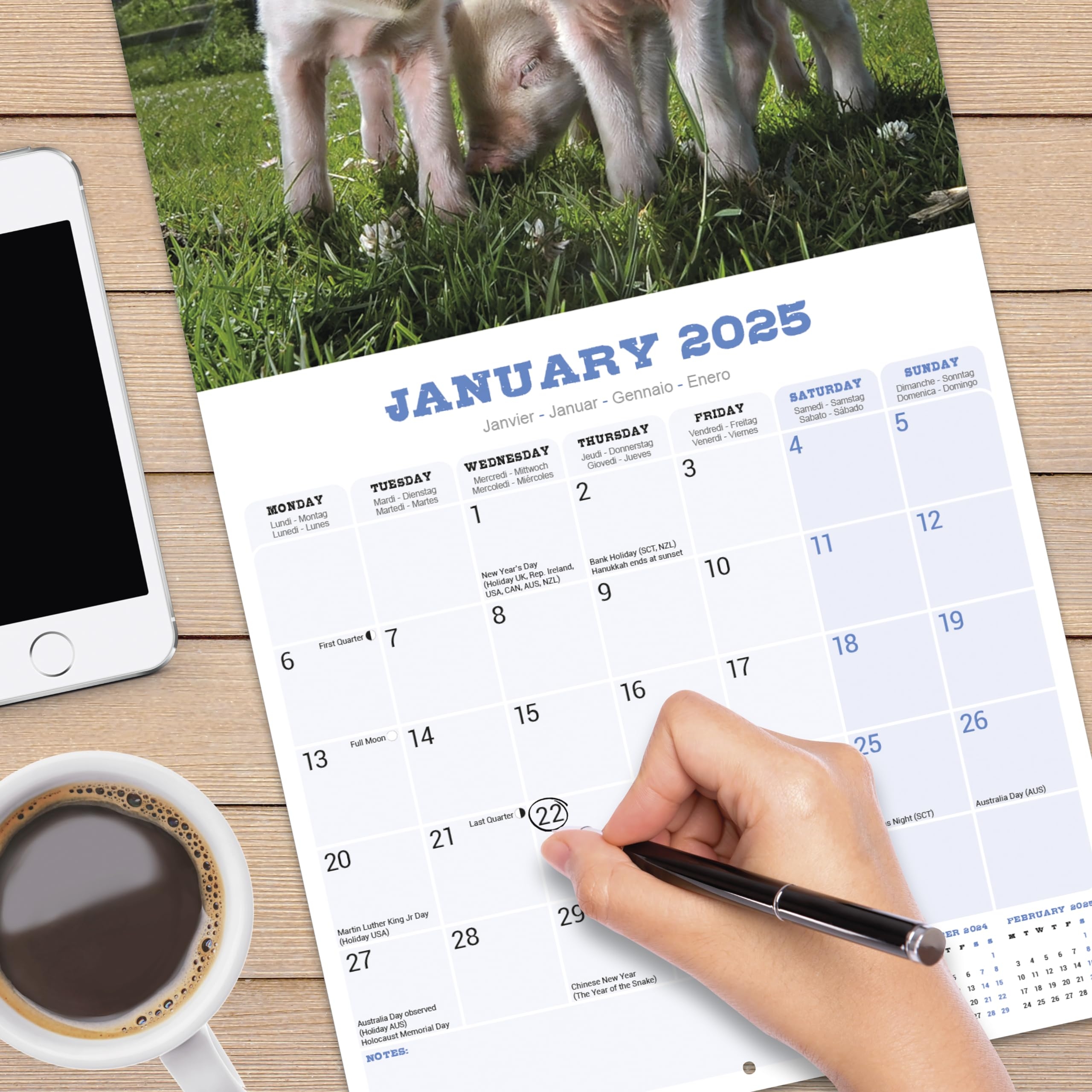 Amazon 2025 Pigs Wall Calendar 12X12 Avonside Publishing 