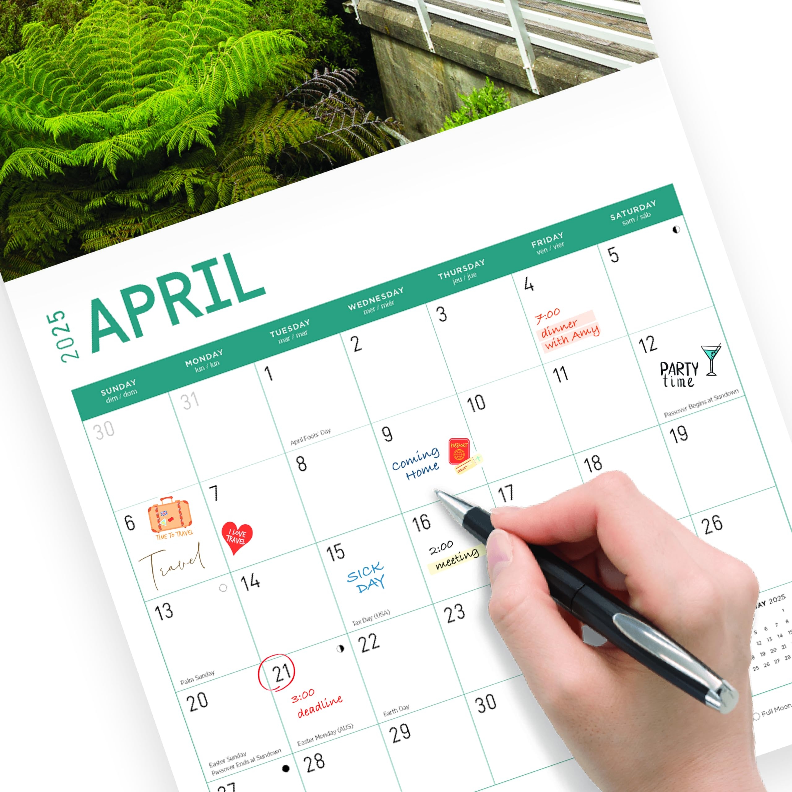 Amazon Bright Day Calendars 2025 New Zealand Monthly Wall 