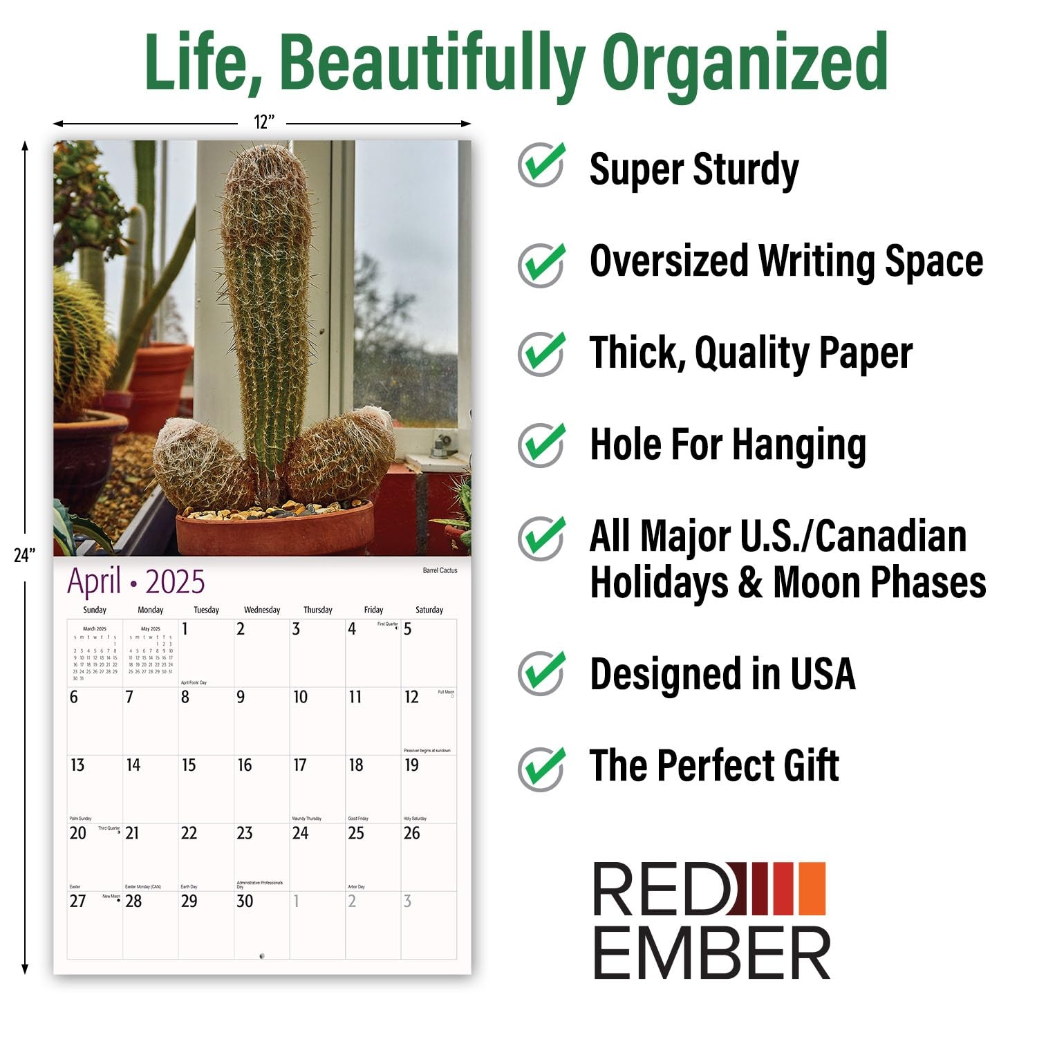 Amazon RED EMBER D ck Pics In Nature 2025 Wall Calendar 12 