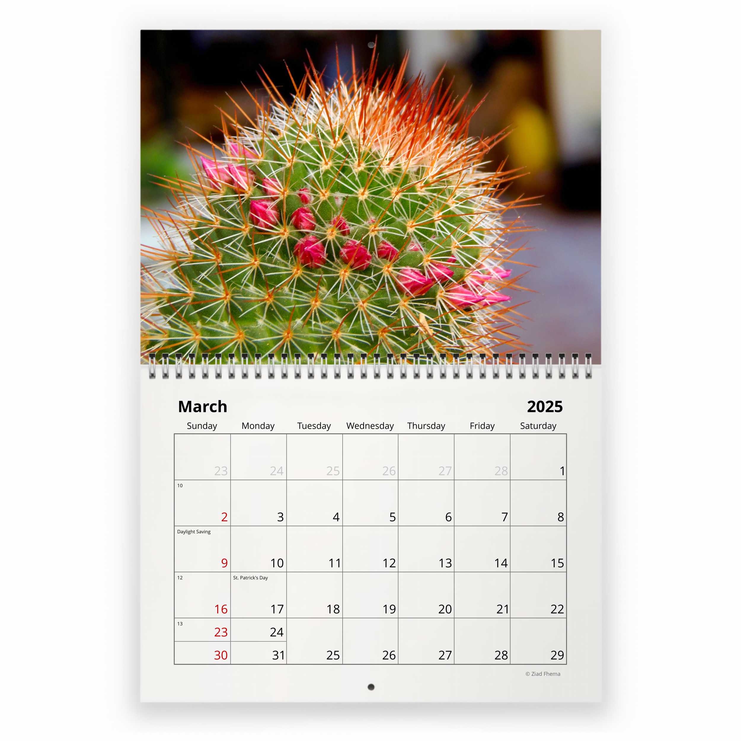 Free Printable Cactus Calendar 2025