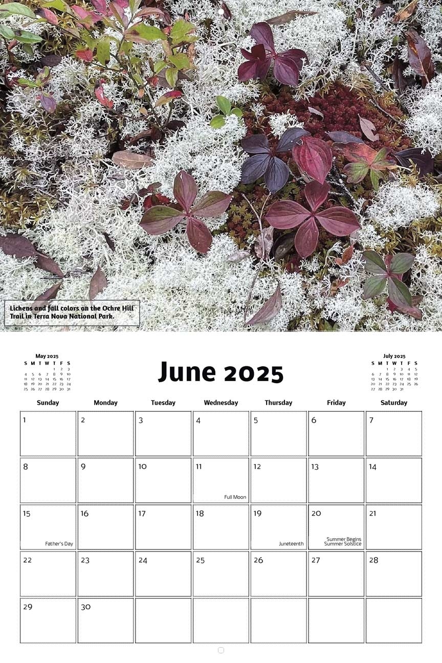 Free Printable 2025 Calendar Nature