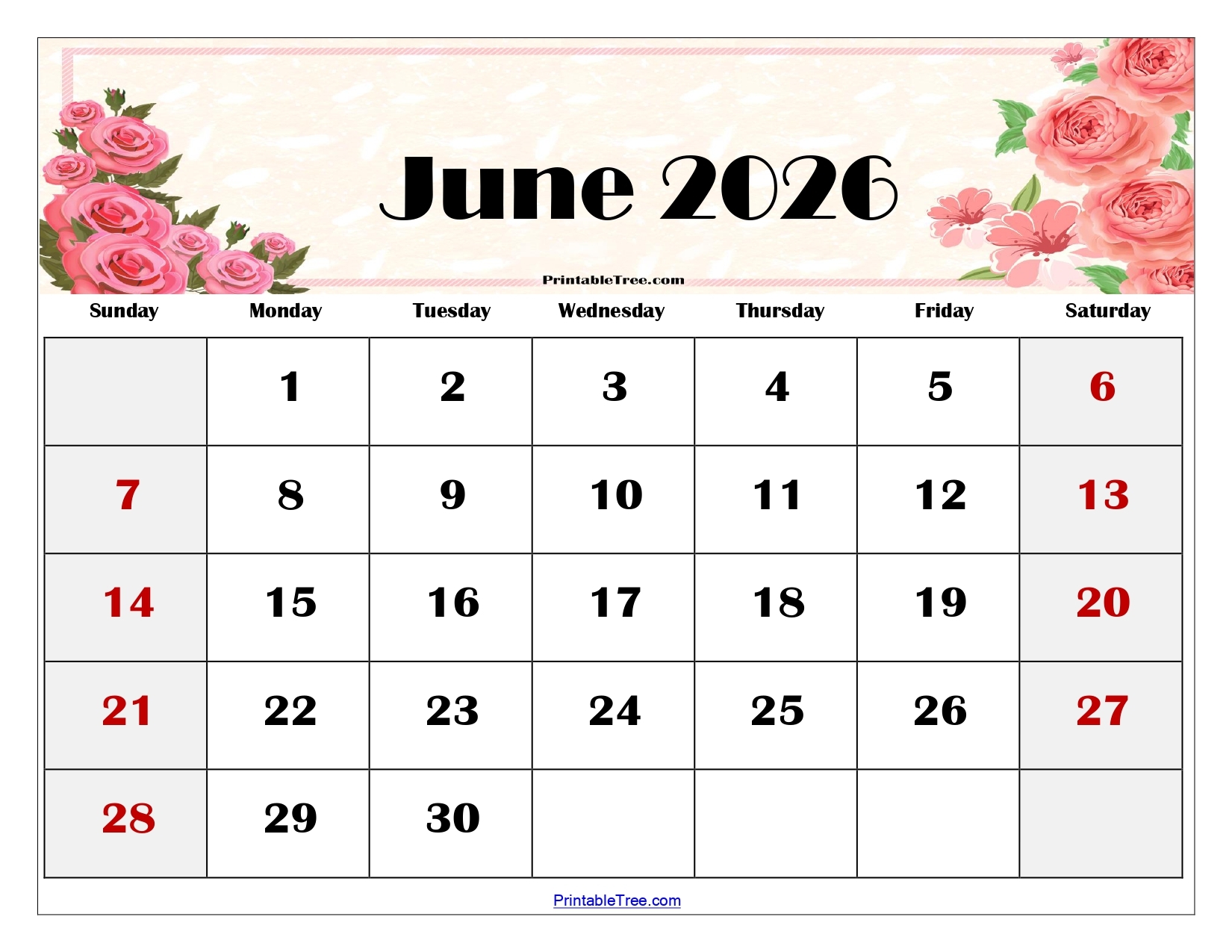 January To June 2026 Calendar Printable