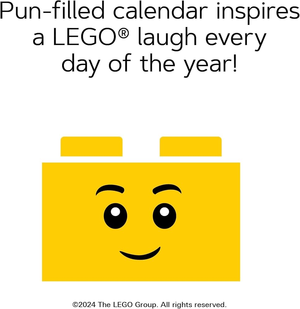LEGO Fun Every Day 2025 Daily Calendar Chronicle Books 9781797228785 Amazon Books