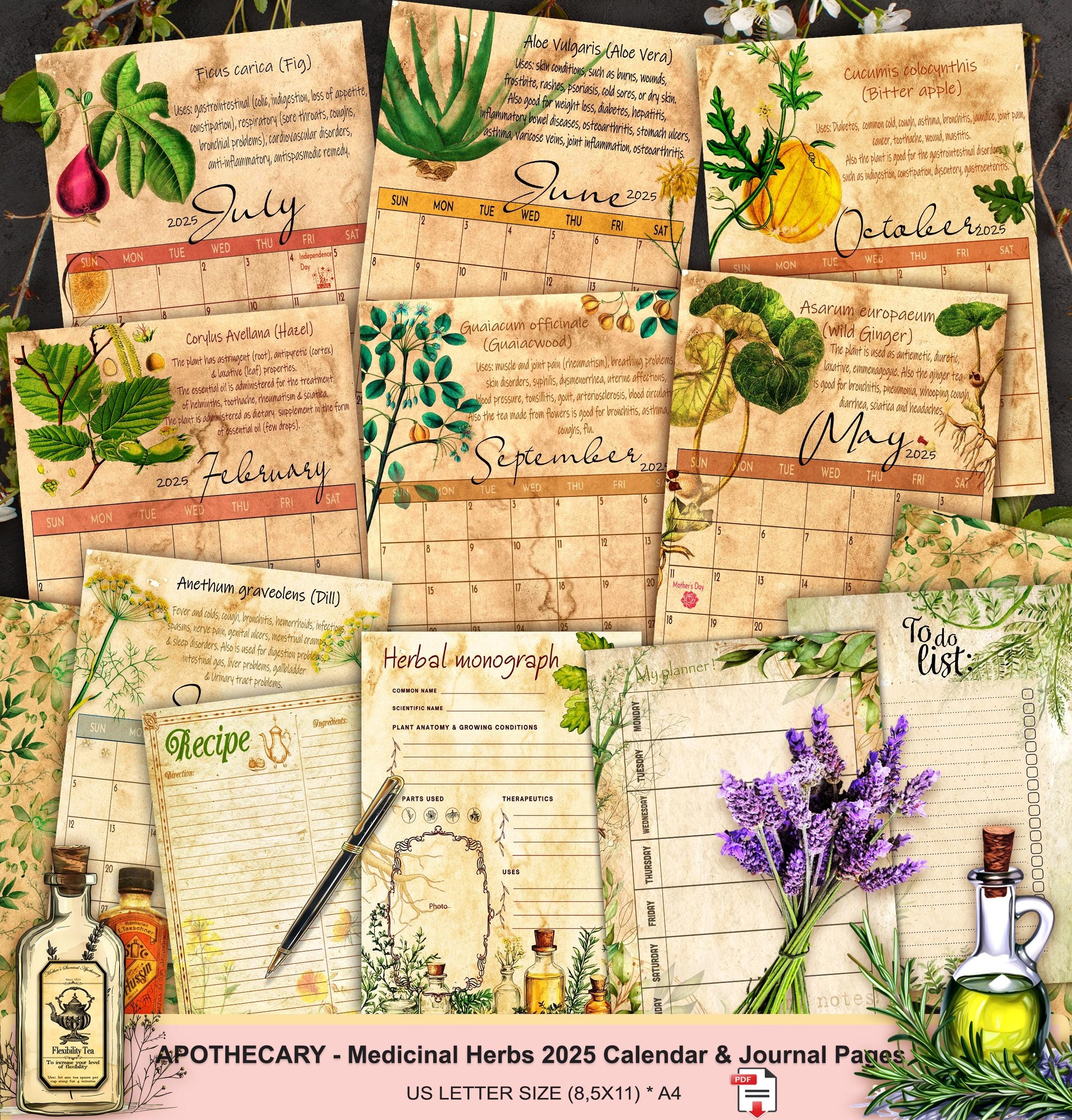 Free Printable Calendar 2025 Botanical Paperworks
