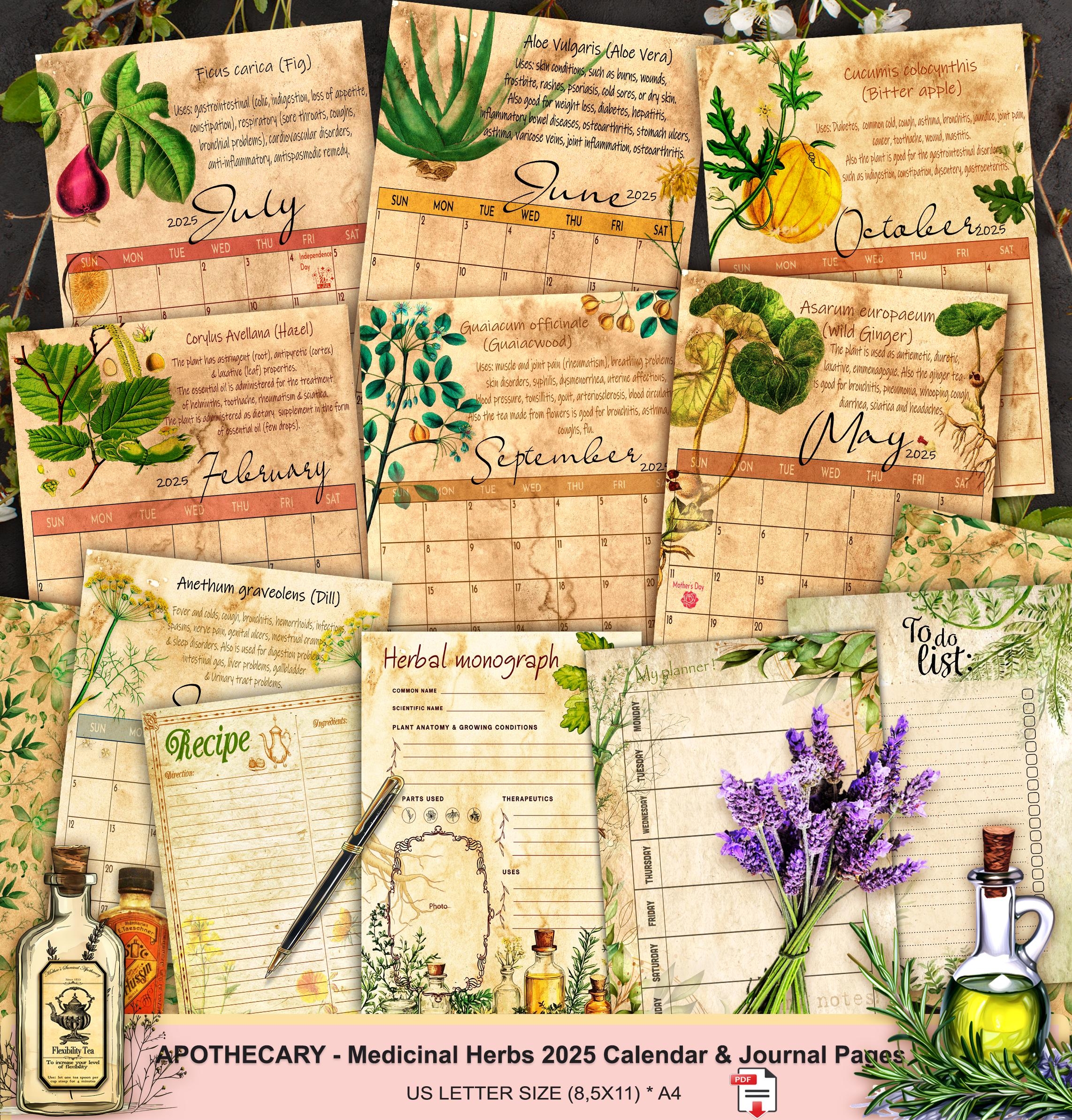 Free Printable Calendar 2025 Botanical Paperworks
