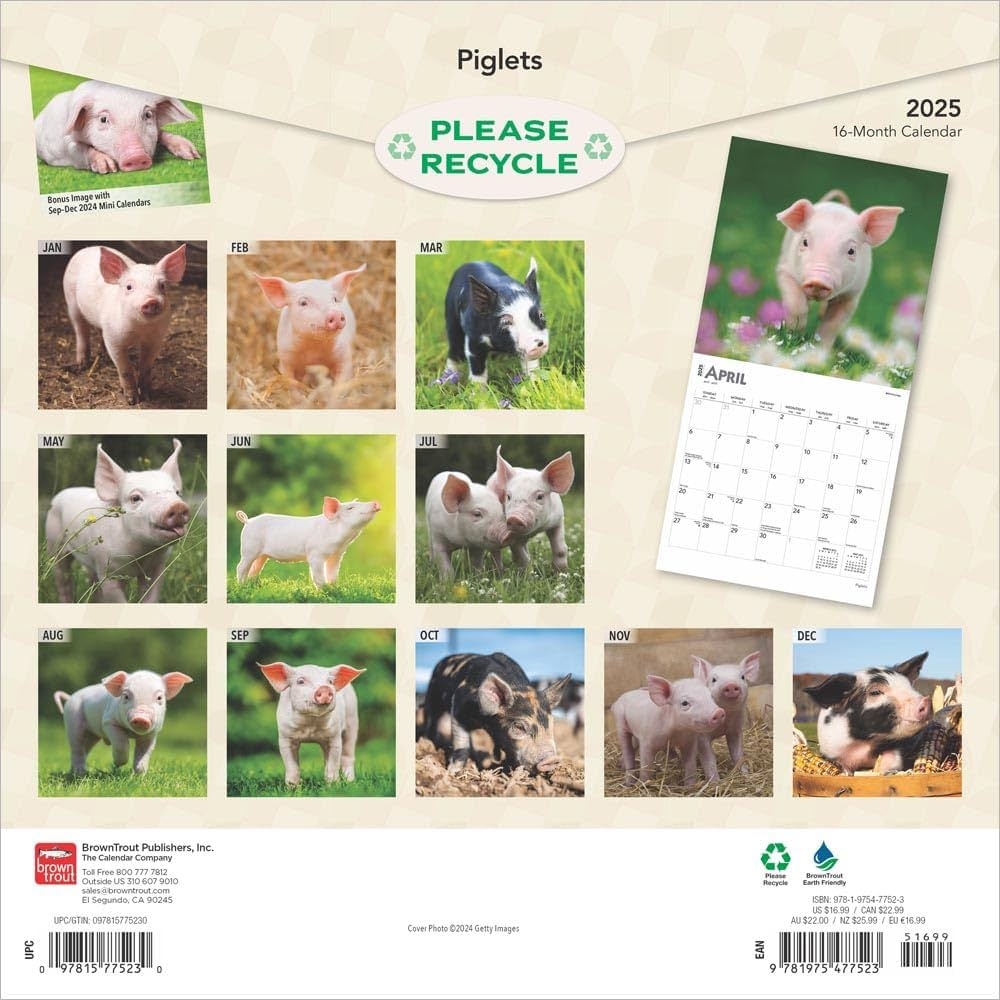 Piglets 2025 12 X 24 Inch Monthly Square Wall Calendar Plastic Free