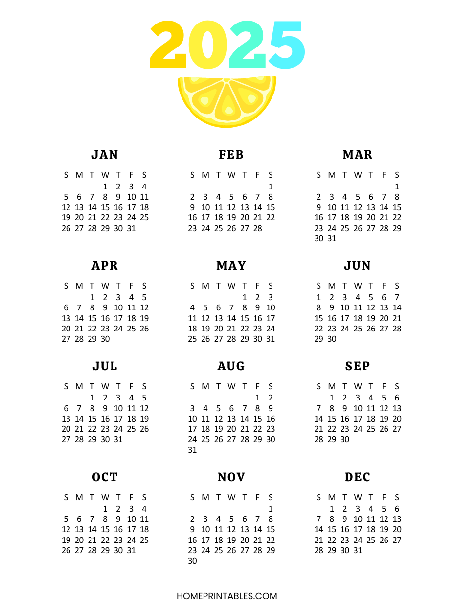 2025 Full Year Calendar Printable