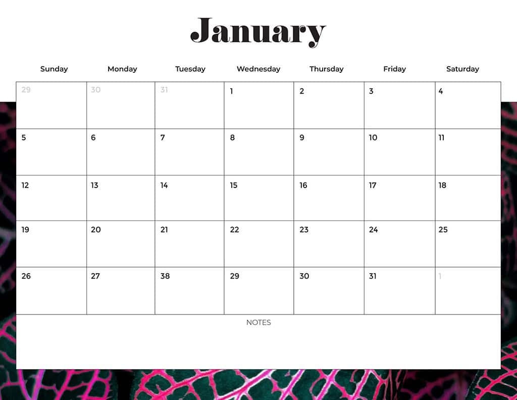Free Printable 2025 Monthly Calendar Without Holidays